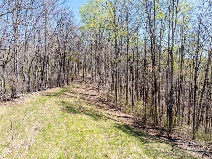 318 Brown Mountain Drive, Cullowhee, NC 28723.  MLS# CAR4235887, YatesRealty ID 8200. Old road bed/trail connecting the numerous old homesites on the mountain