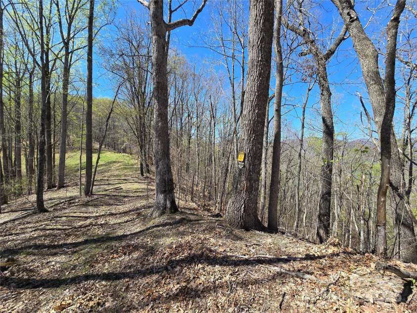 318 Brown Mountain Drive, Cullowhee, NC 28723.  MLS# CAR4235887, YatesRealty ID 8200. The spine of the ridge is the boundary with the Nantahala National Forest and Game Lands