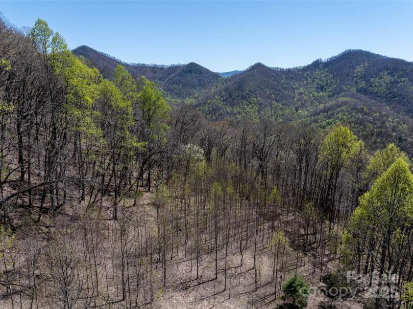318 Brown Mountain Drive, Cullowhee, NC 28723.  MLS# CAR4235887, YatesRealty ID 8200. This pasture is at the top of the mountain. The roof has blown off the horse shed and the pasture has been overgrown with tulip poplar saplings