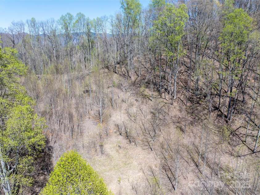 318 Brown Mountain Drive, Cullowhee, NC 28723.  MLS# CAR4235887, YatesRealty ID 8200. This pasture is at the top of the mountain. The roof has blown off the horse shed and the pasture has been overgrown with tulip poplar saplings