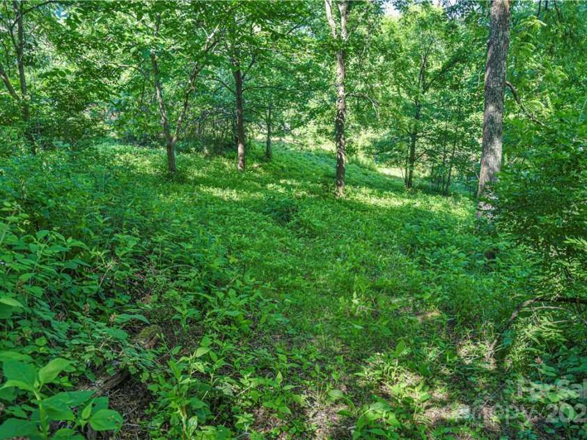 415 Weaverville Road, Asheville, NC 28804.  MLS# CAR4229156, YatesRealty ID 8211. 