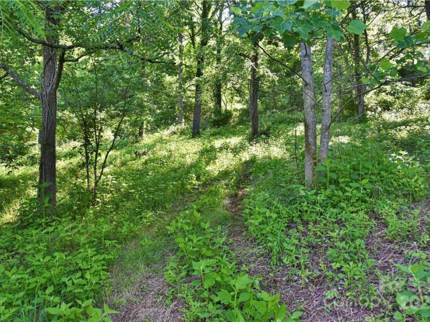 415 Weaverville Road, Asheville, NC 28804.  MLS# CAR4229156, YatesRealty ID 8211. 