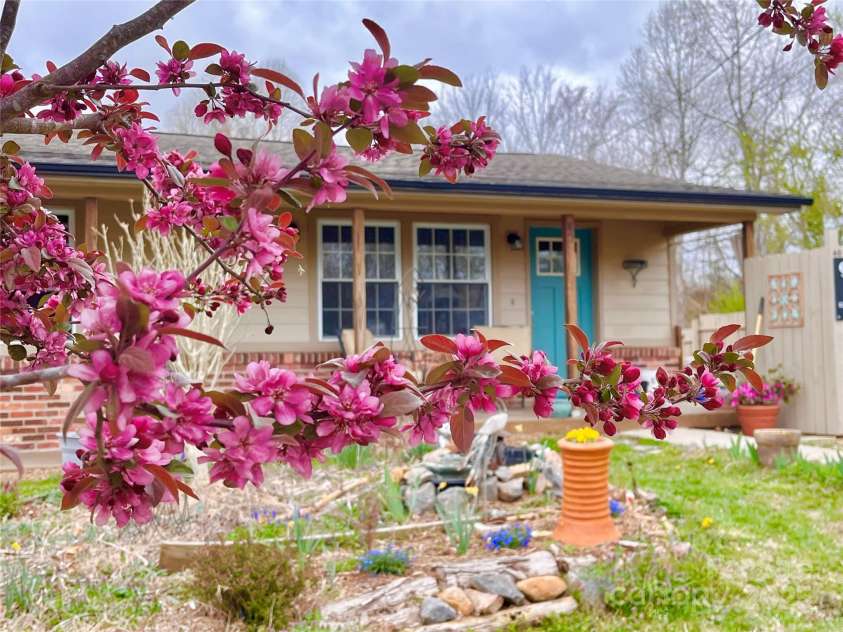 40 Eastover Drive, Asheville, NC 28806.  MLS# CAR4251614, YatesRealty ID 8223. Early spring crabapple