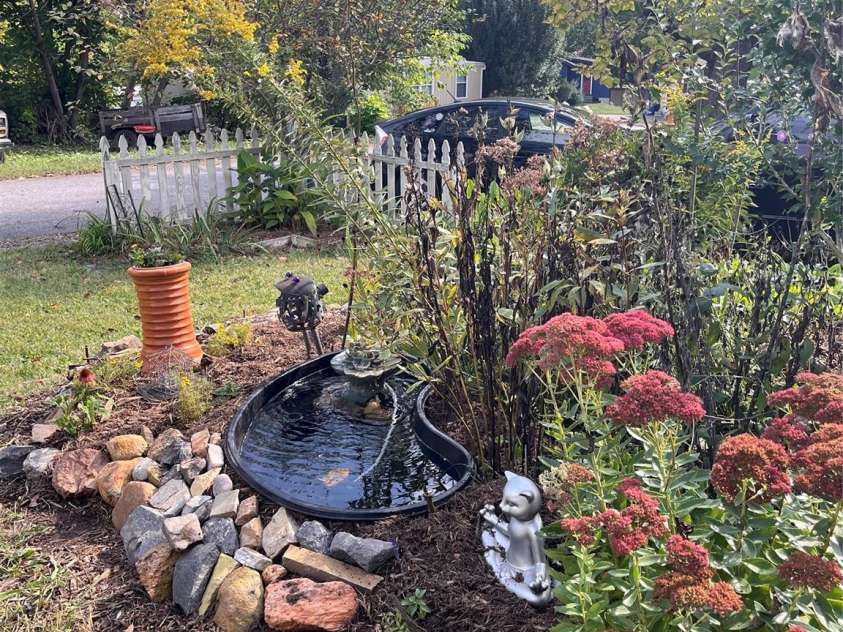 40 Eastover Drive, Asheville, NC 28806.  MLS# CAR4251614, YatesRealty ID 8223. Front yard pollinator patch in autumn