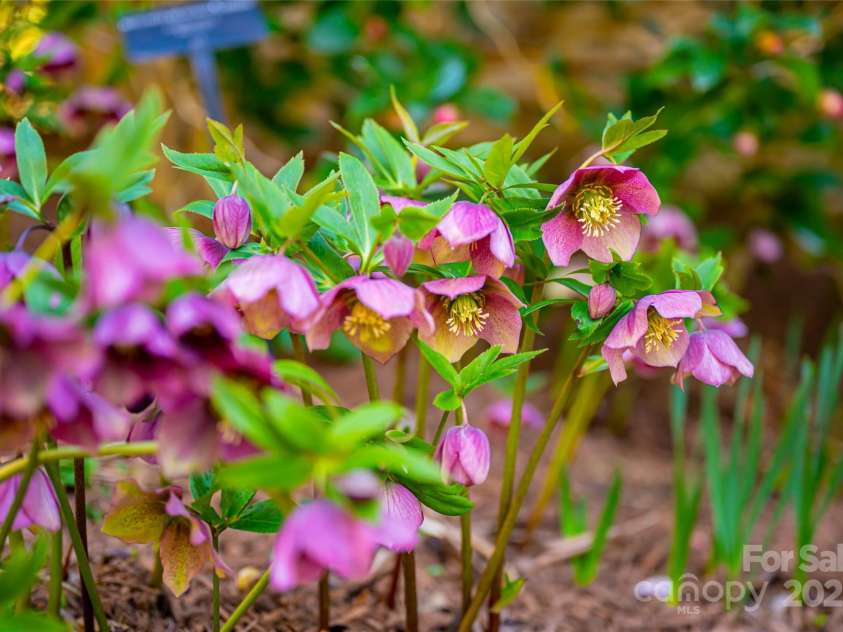 400 Sugar Hollow Road, Fairview, NC 28730.  MLS# CAR4235385, YatesRealty ID 8236. 