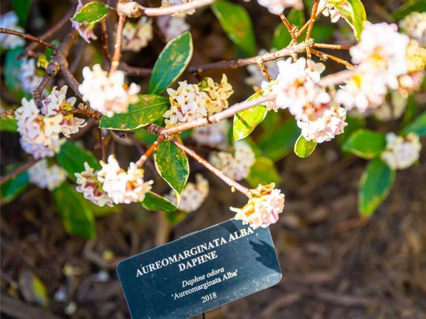 400 Sugar Hollow Road, Fairview, NC 28730.  MLS# CAR4235385, YatesRealty ID 8236. 