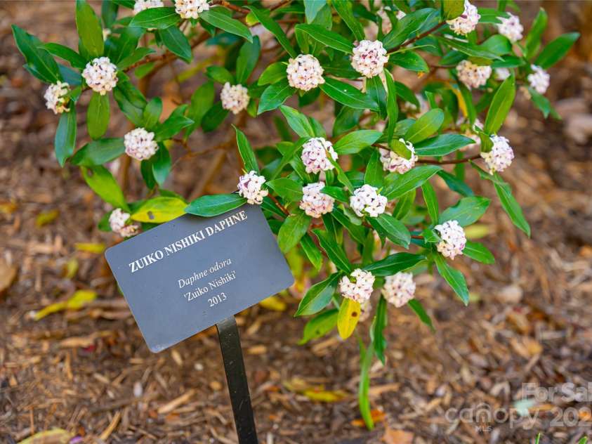 400 Sugar Hollow Road, Fairview, NC 28730.  MLS# CAR4235385, YatesRealty ID 8236. 