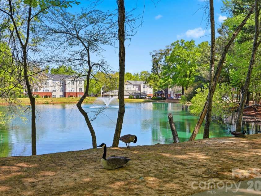 11520 Destin Lane, Charlotte, NC 28277.  MLS# CAR4365017, YatesRealty ID 8240. 