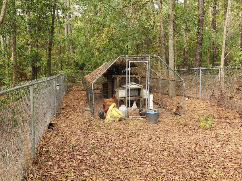 105 Eubanks Road, Monroe, NC 28112.  MLS# CAR4309646, YatesRealty ID 8250. Chicken coop or potential enclosed dog run