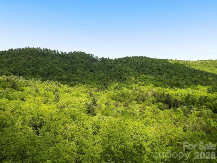 1455 Flint Rock Trail, Arden, NC 28704.  MLS# CAR4238887, YatesRealty ID 8262. 