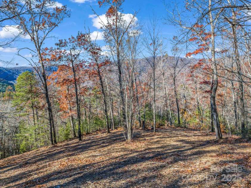 Lot 30 Deep Gap Farm Road, Mill Spring, NC 28756.  MLS# CAR4205523, YatesRealty ID 8266. 