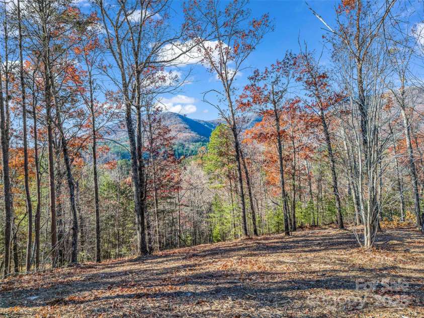 Lot 30 Deep Gap Farm Road, Mill Spring, NC 28756.  MLS# CAR4205523, YatesRealty ID 8266. 