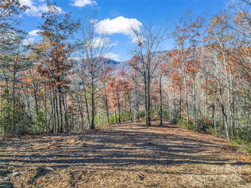 Lot 30 Deep Gap Farm Road, Mill Spring, NC 28756.  MLS# CAR4205523, YatesRealty ID 8266. 