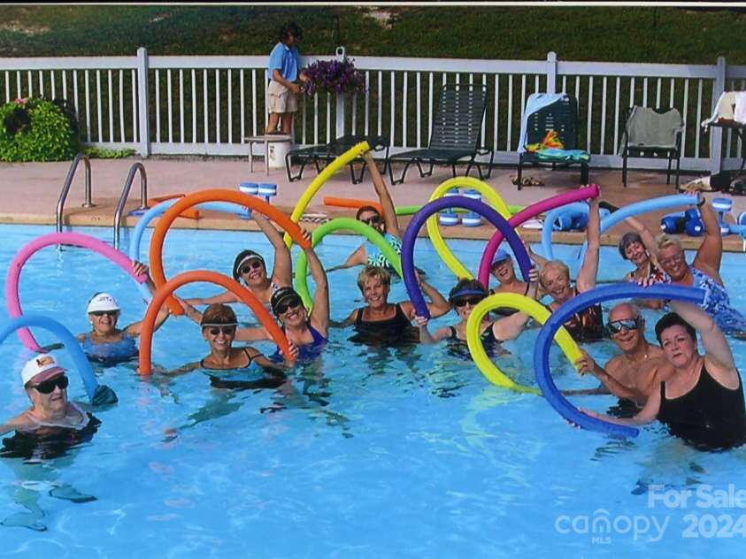 103 IVEY Lane, Flat Rock, NC 28731.  MLS# CAR4159661, YatesRealty ID 8280. 