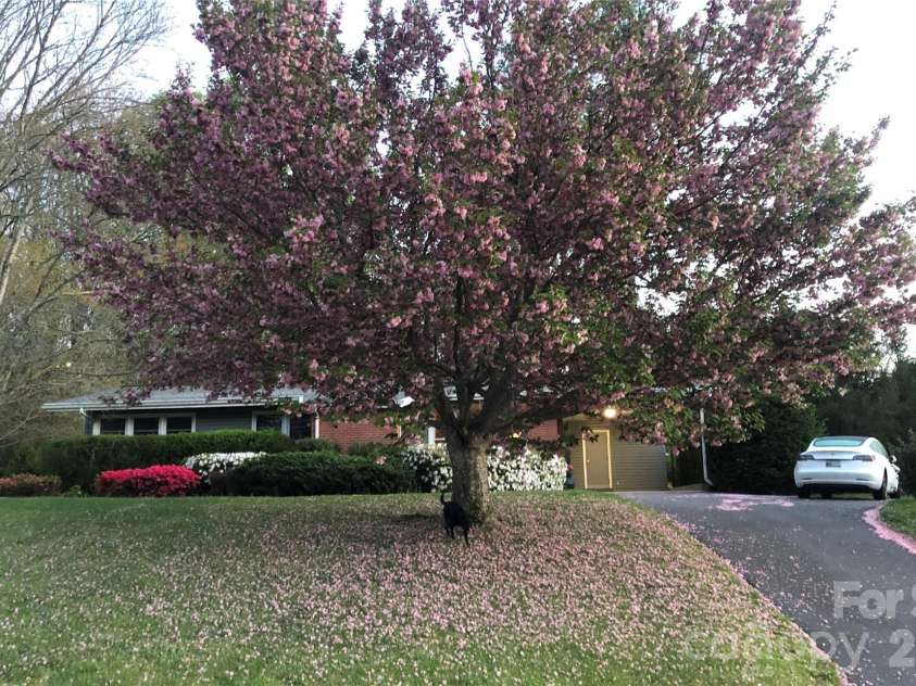 317 Allison Road, Brevard, NC 28712.  MLS# CAR4349460, YatesRealty ID 8288. 
