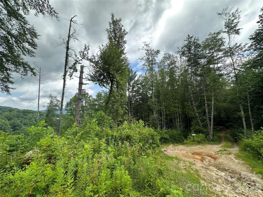3606 NC Highway 194 None, Sugar Grove, NC 28679.  MLS# CAR4327655, YatesRealty ID 830. 