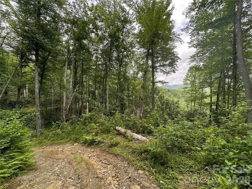3606 NC Highway 194 None, Sugar Grove, NC 28679.  MLS# CAR4327655, YatesRealty ID 830. 