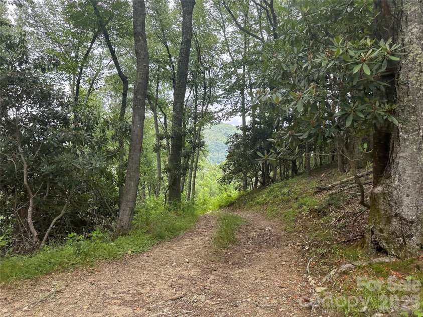 3606 NC Highway 194 None, Sugar Grove, NC 28679.  MLS# CAR4327655, YatesRealty ID 830. 