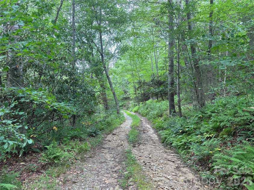 3606 NC Highway 194 None, Sugar Grove, NC 28679.  MLS# CAR4327655, YatesRealty ID 830. 