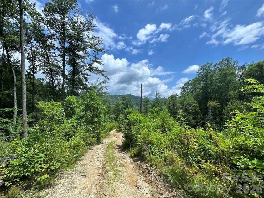 3606 NC Highway 194 None, Sugar Grove, NC 28679.  MLS# CAR4327655, YatesRealty ID 830. Views from trails throughout the property!