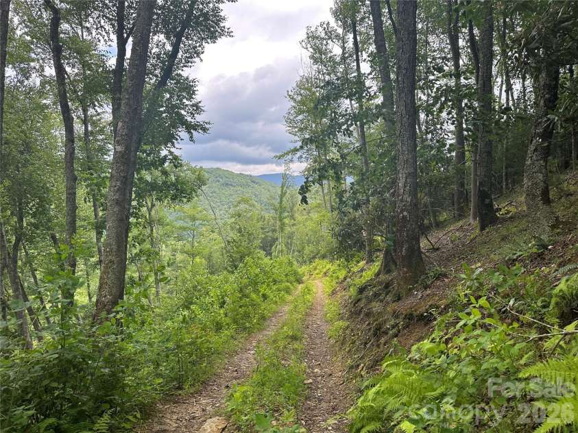 3606 NC Highway 194 None, Sugar Grove, NC 28679.  MLS# CAR4327655, YatesRealty ID 830. Views from trails throughout the property!