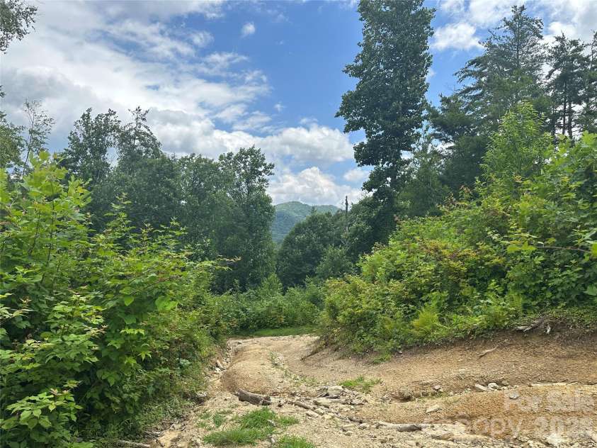 3606 NC Highway 194 None, Sugar Grove, NC 28679.  MLS# CAR4327655, YatesRealty ID 830. Views from trails throughout the property!