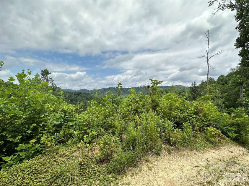 3606 NC Highway 194 None, Sugar Grove, NC 28679.  MLS# CAR4327655, YatesRealty ID 830. Views from trails throughout the property!