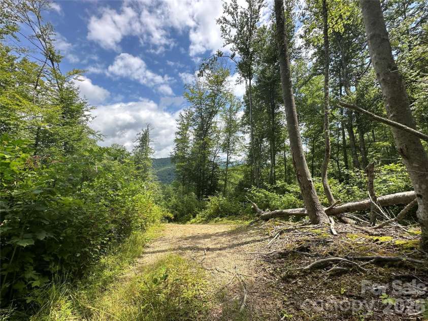 3606 NC Highway 194 None, Sugar Grove, NC 28679.  MLS# CAR4327655, YatesRealty ID 830. Views from trails throughout the property!