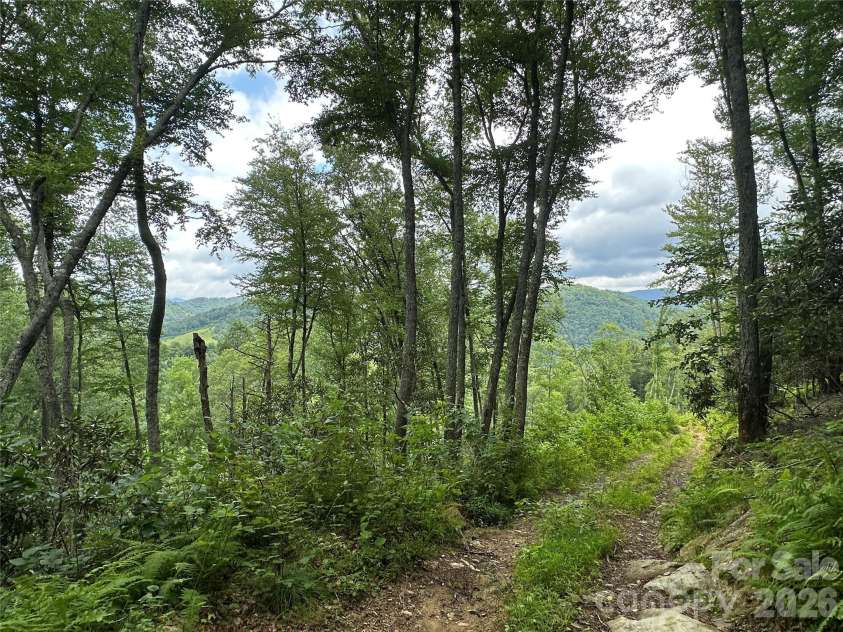 3606 NC Highway 194 None, Sugar Grove, NC 28679.  MLS# CAR4327655, YatesRealty ID 830. Views from trails throughout the property!