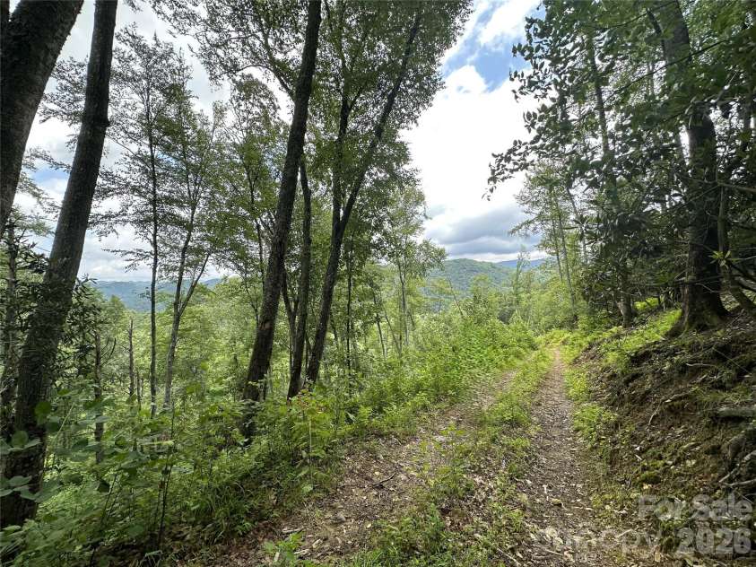 3606 NC Highway 194 None, Sugar Grove, NC 28679.  MLS# CAR4327655, YatesRealty ID 830. Views from trails throughout the property!