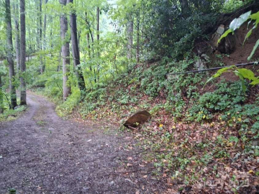 152 Dream Mountain Boulevard, Canton, NC 28716.  MLS# CAR4279458, YatesRealty ID 8364. 