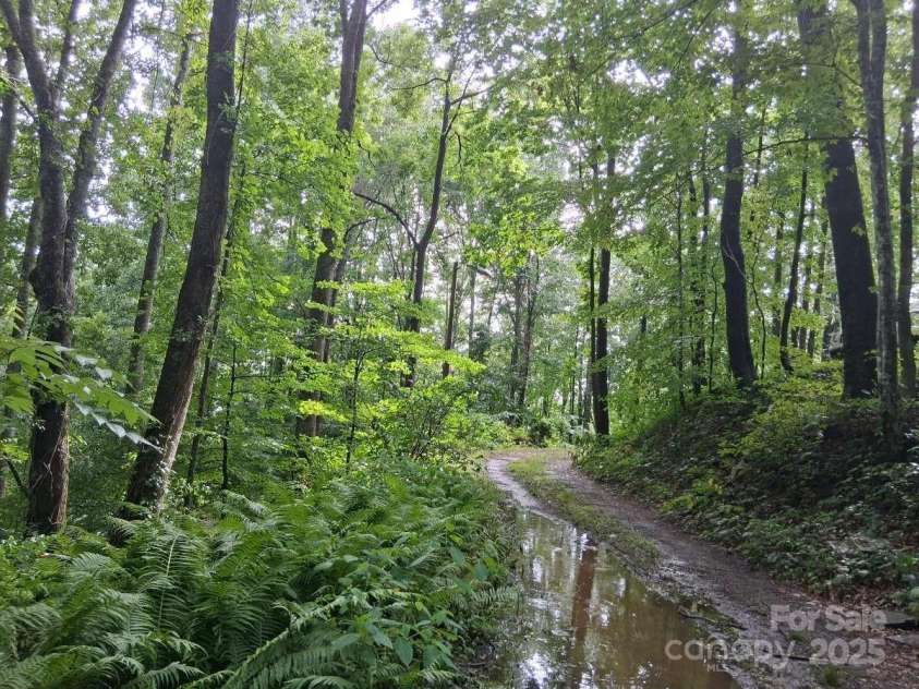 152 Dream Mountain Boulevard, Canton, NC 28716.  MLS# CAR4279458, YatesRealty ID 8364. 