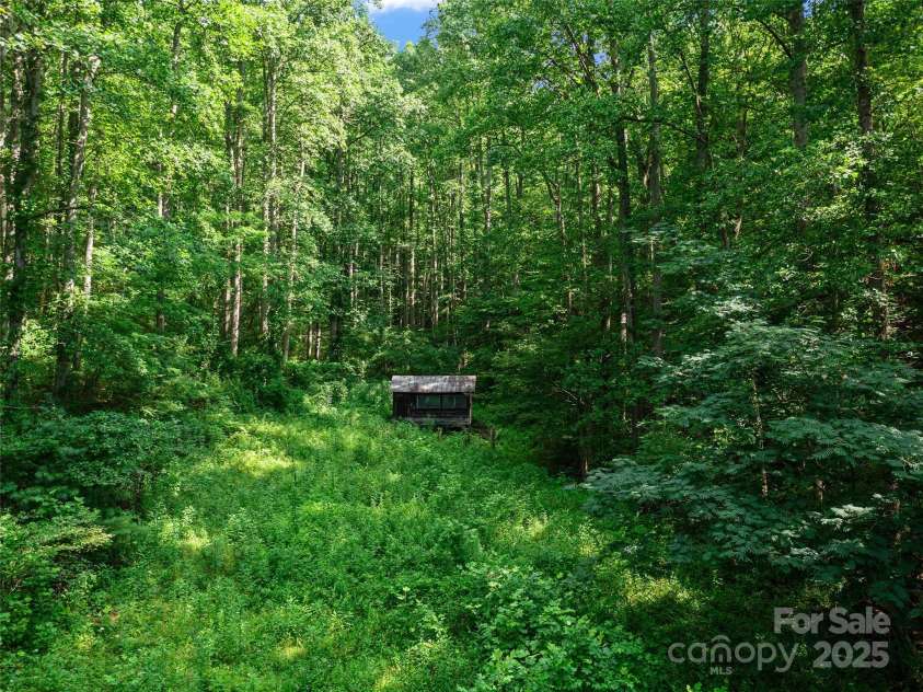 9065 NC 63 Highway, Leicester, NC 28748.  MLS# CAR4286038, YatesRealty ID 842. Popcorn Sutton Primitive Cabin