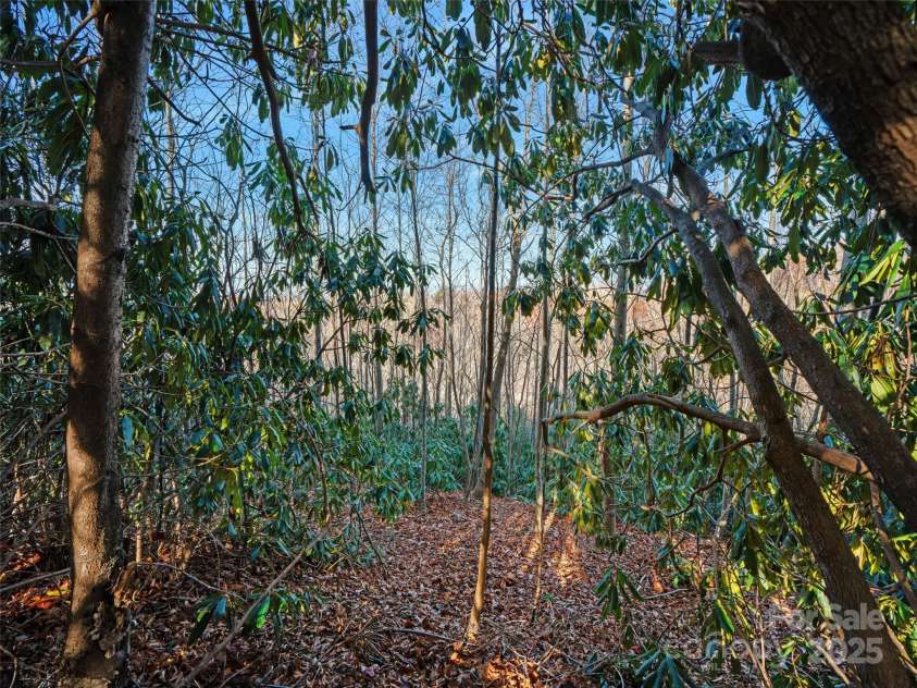 99999 Bay Laurel Lane, Hendersonville, NC 28791.  MLS# CAR4206754, YatesRealty ID 845. 