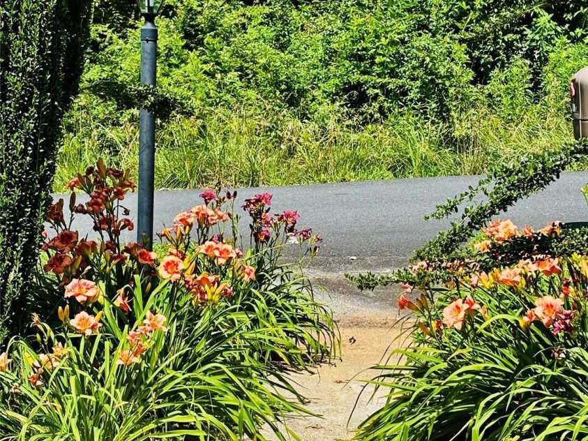 328 Melody Lane, Saluda, NC 28773.  MLS# CAR4282842, YatesRealty ID 8455. 