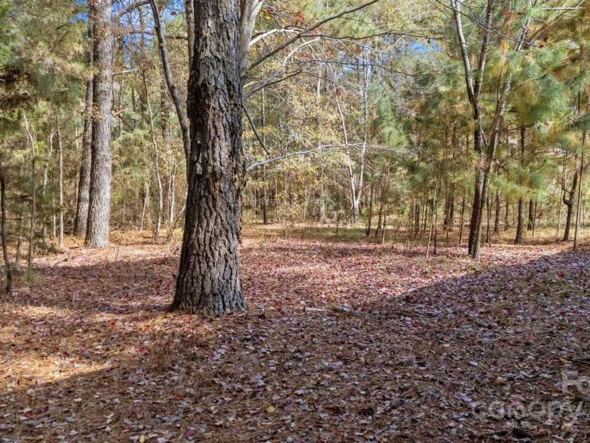 2627 Mccallum Road, Candor, NC 27229.  MLS# CAR4322030, YatesRealty ID 8460. 