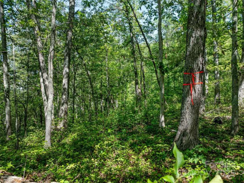 1384 Barnardsville Highway, Barnardsville, NC 28709.  MLS# CAR4251494, YatesRealty ID 8462. 