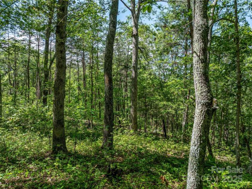 1384 Barnardsville Highway, Barnardsville, NC 28709.  MLS# CAR4251494, YatesRealty ID 8462. 