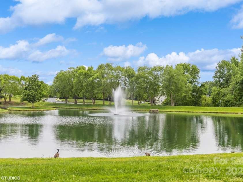 10012 Royal Colony Drive, Waxhaw, NC 28173.  MLS# CAR4250222, YatesRealty ID 8489. Neighborhood pond