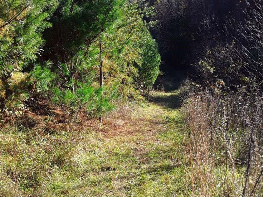 2200 Walnut Creek Road, Marshall, NC 28753.  MLS# CAR4200860, YatesRealty ID 849. 