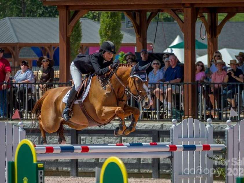 150 Cherry Hill, Mill Spring, NC 28756.  MLS# CAR4201746, YatesRealty ID 8524. Enjoy international level equestrian competitions, music festivals and holiday events at TIEC!