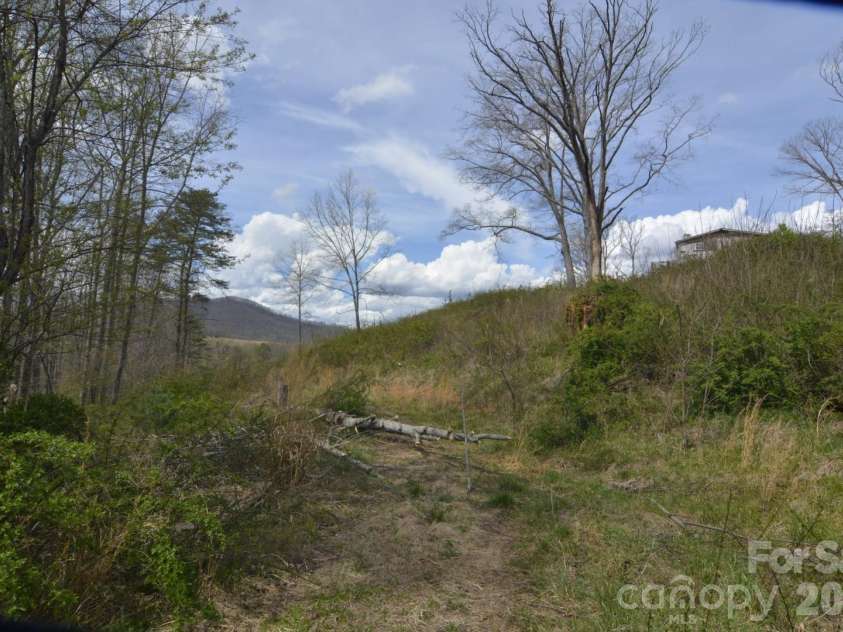 535 Old Newfound Road, Leicester, NC 28748.  MLS# CAR4365762, YatesRealty ID 8590. Driveway to lower area