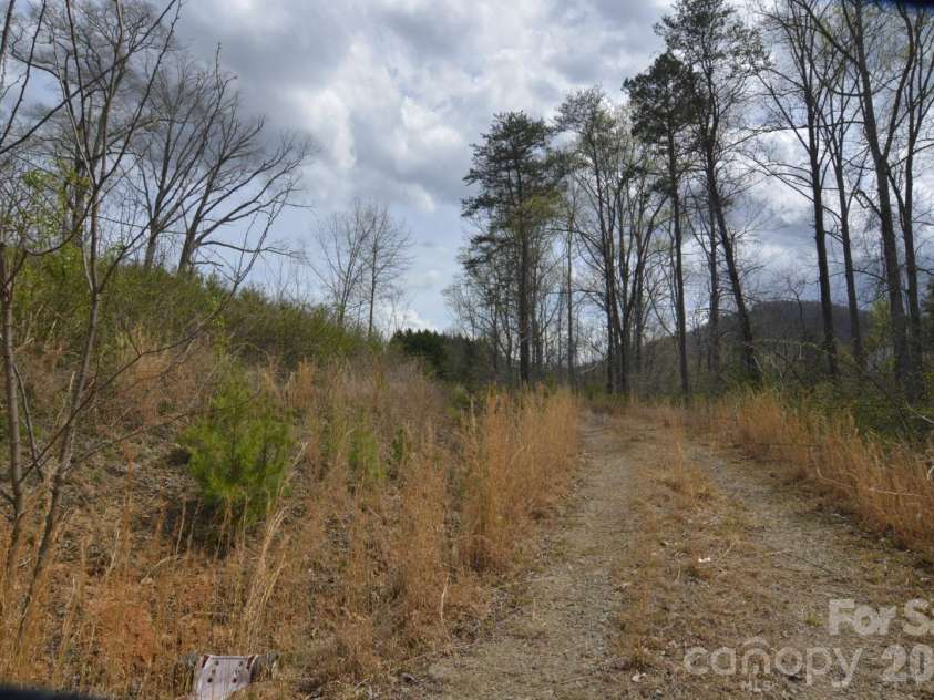 535 Old Newfound Road, Leicester, NC 28748.  MLS# CAR4365762, YatesRealty ID 8590. Driveway to lower area