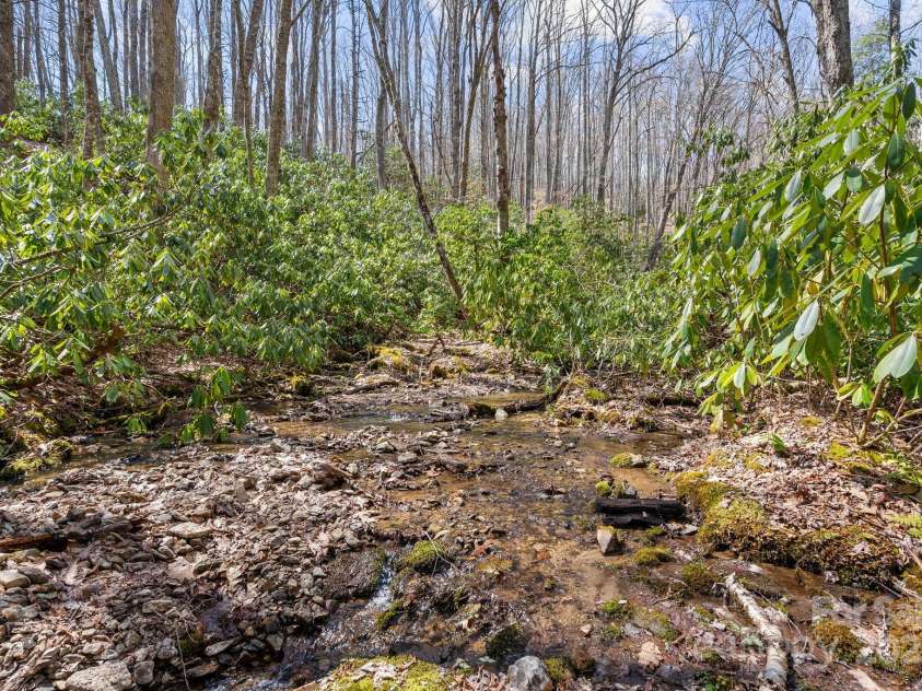 165 Pine Moss Trail, Hot Springs, NC 28743.  MLS# CAR4240103, YatesRealty ID 8603. 