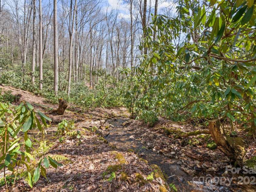 165 Pine Moss Trail, Hot Springs, NC 28743.  MLS# CAR4240103, YatesRealty ID 8603. 