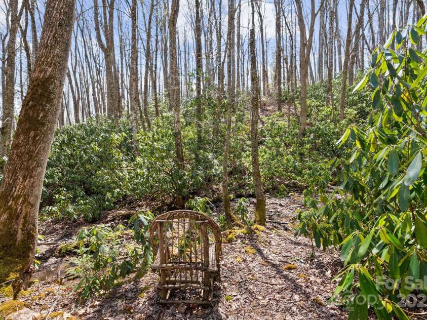 165 Pine Moss Trail, Hot Springs, NC 28743.  MLS# CAR4240103, YatesRealty ID 8603. 