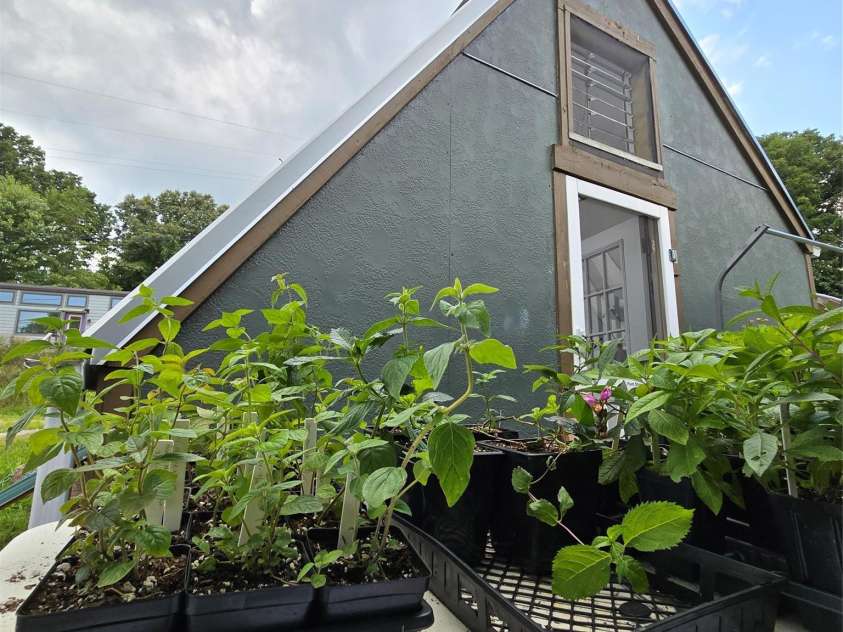 437 Onteora Boulevard, Asheville, NC 28803.  MLS# CAR4361742, YatesRealty ID 8612. 