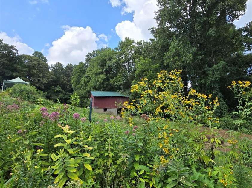 437 Onteora Boulevard, Asheville, NC 28803.  MLS# CAR4361742, YatesRealty ID 8612. 
