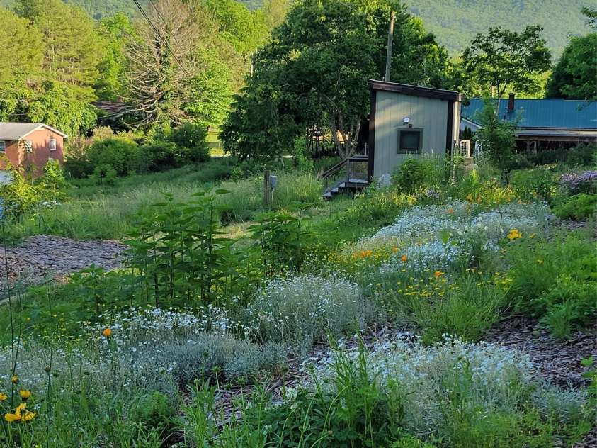 437 Onteora Boulevard, Asheville, NC 28803.  MLS# CAR4361742, YatesRealty ID 8612. Beautiful summer scene