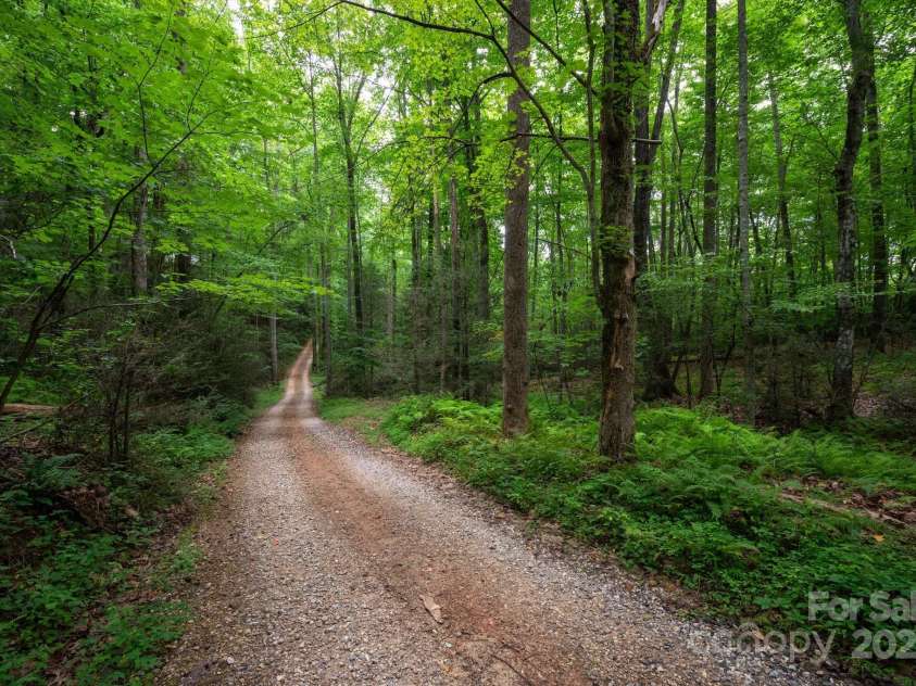 552 Avery Creek, Arden, NC 28704.  MLS# CAR4162380, YatesRealty ID 8706. Bring Your Hiking Shoes